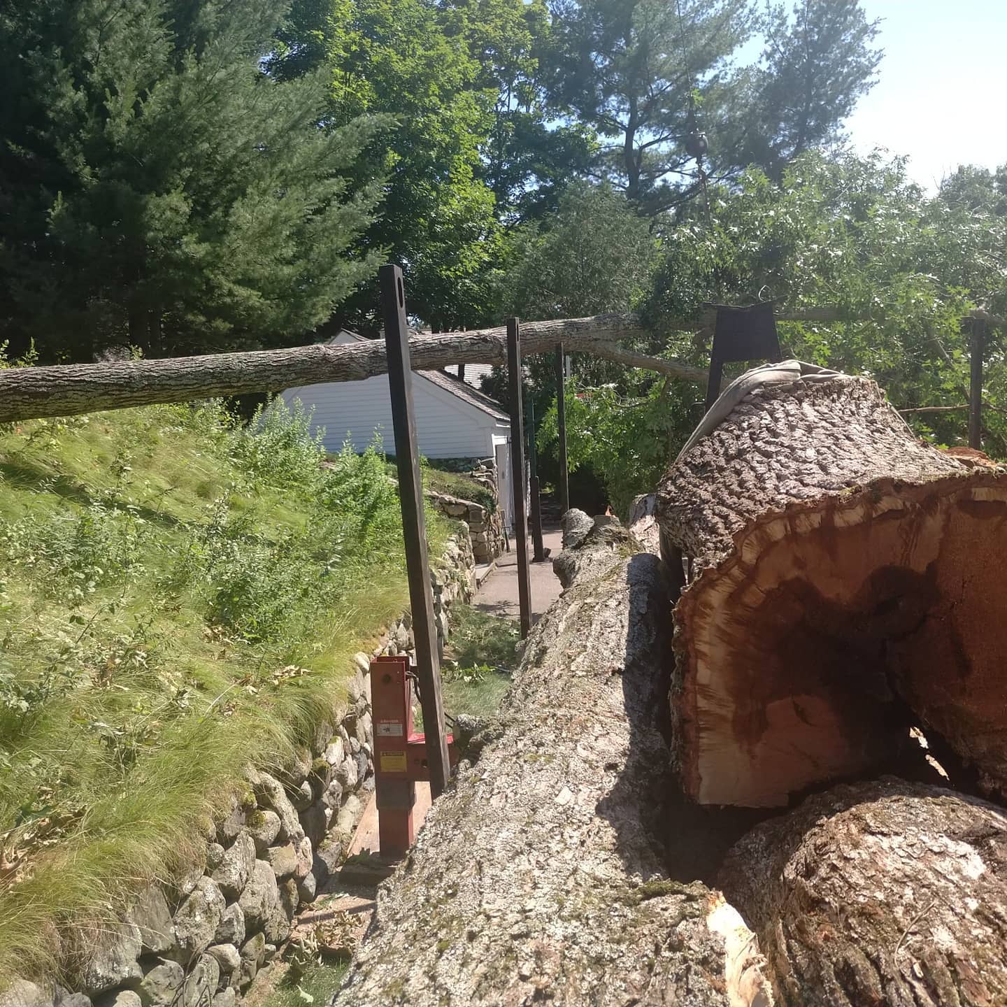 Large cut log beside a stone retaining slope