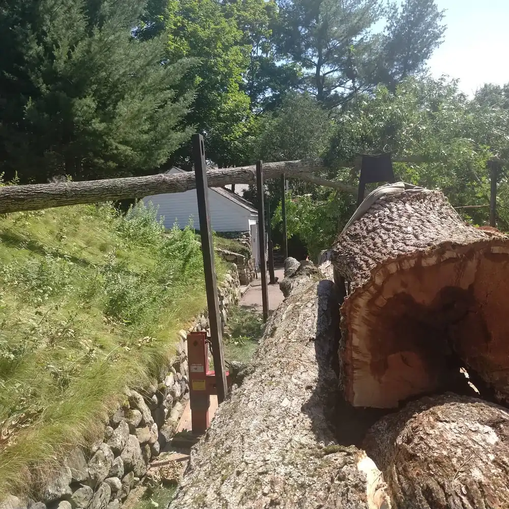 Large cut log beside a stone retaining slope