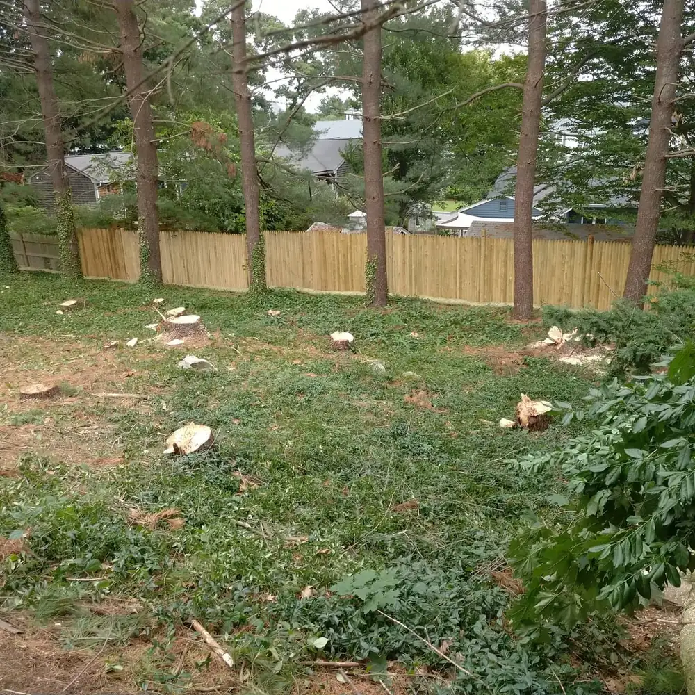 Residential yard during tree removal and debris cleanup