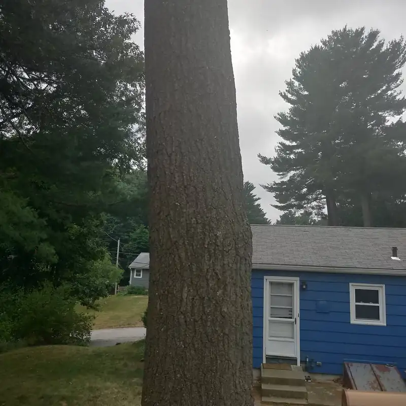 Two large trunks beside a blue house