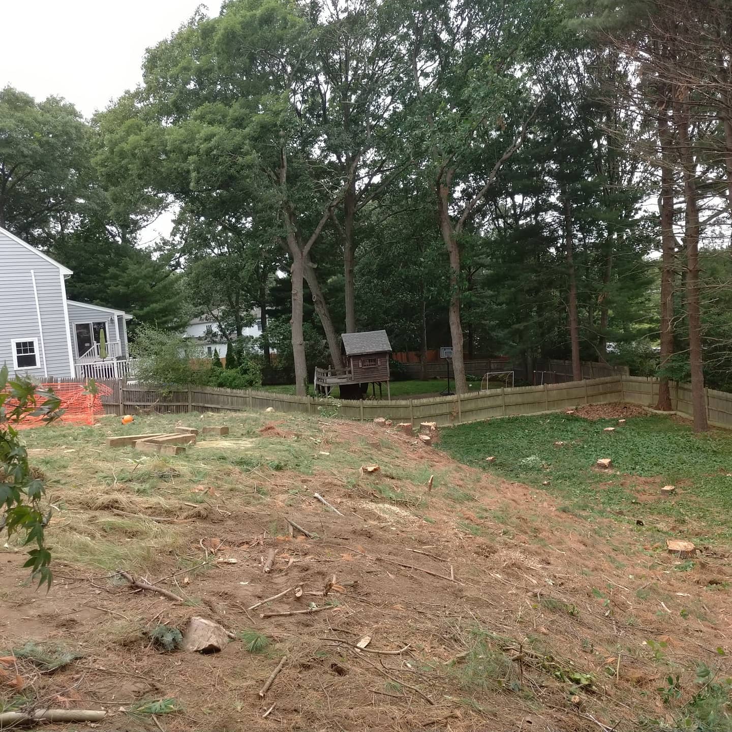 Cleared yard after tree removal work