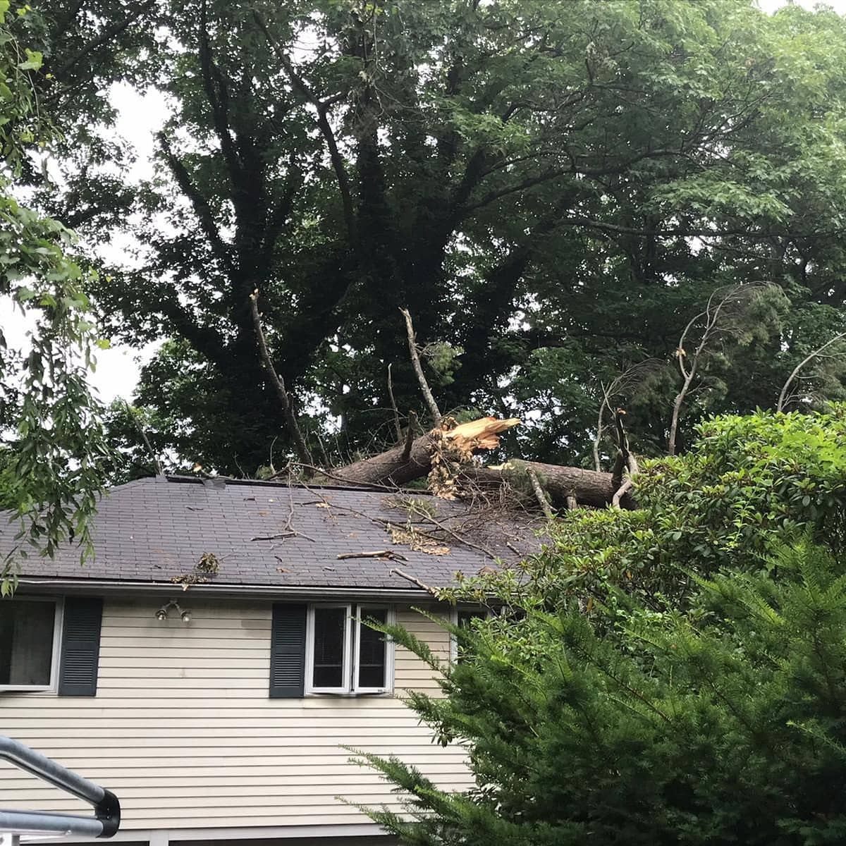 Storm-damaged tree resting across a house roof