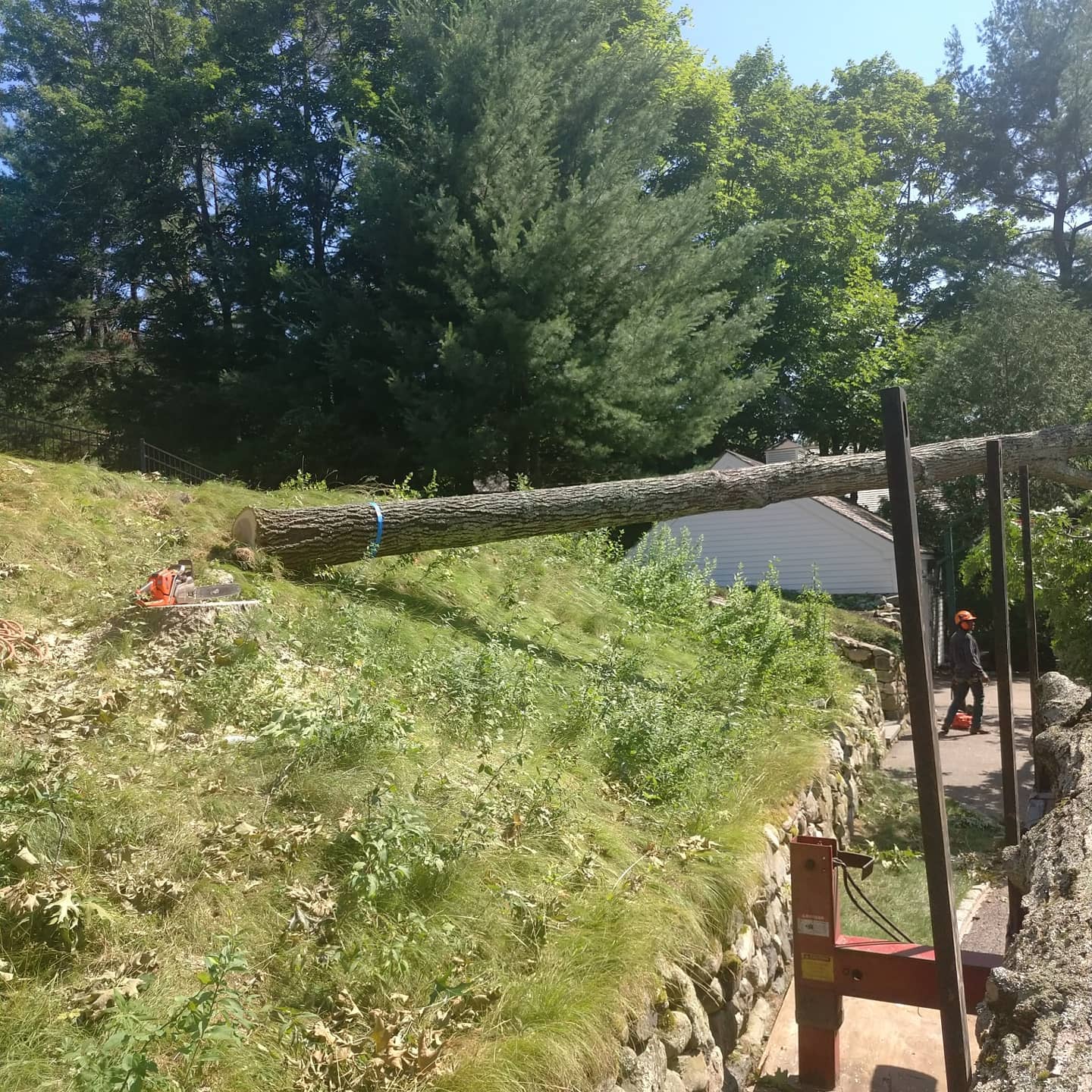 Cut trunk section on a sloped work area