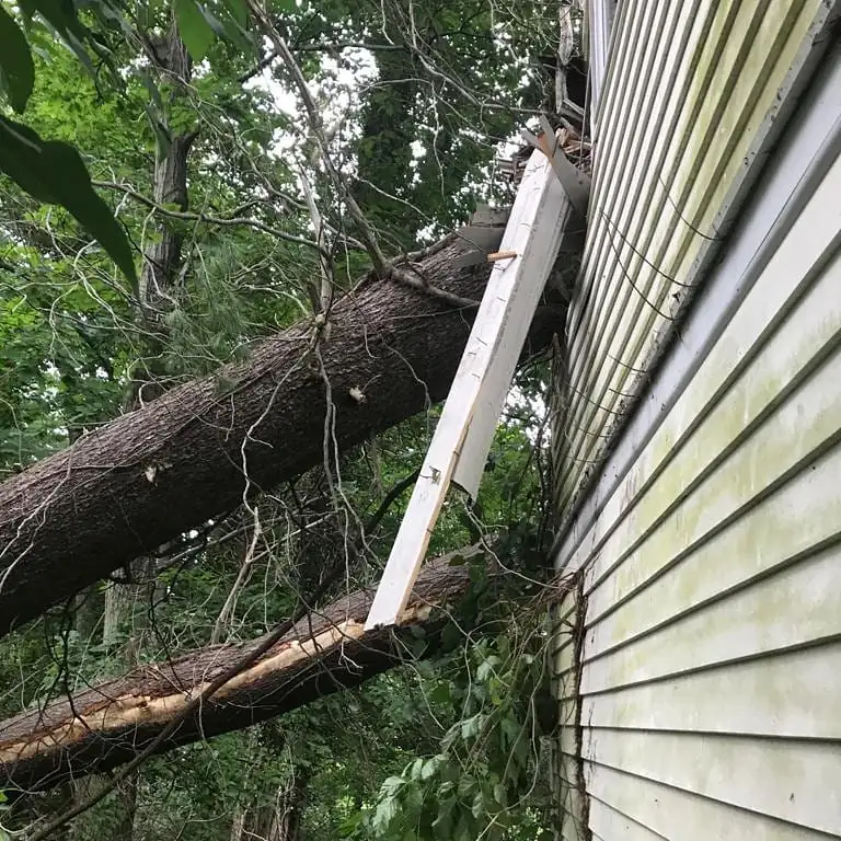 Fallen trunk pressing against a home's siding
