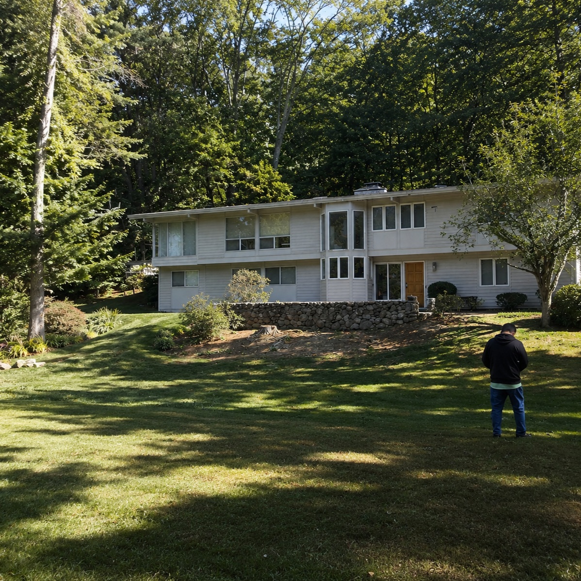 Open lawn and trees after residential tree work