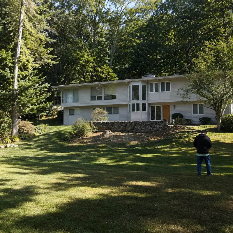 Open lawn and trees after residential tree work
