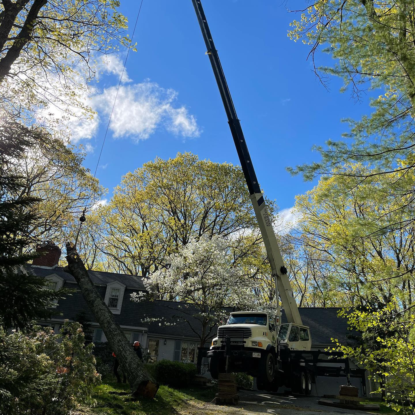 Crane set up beside a home for elevated tree work