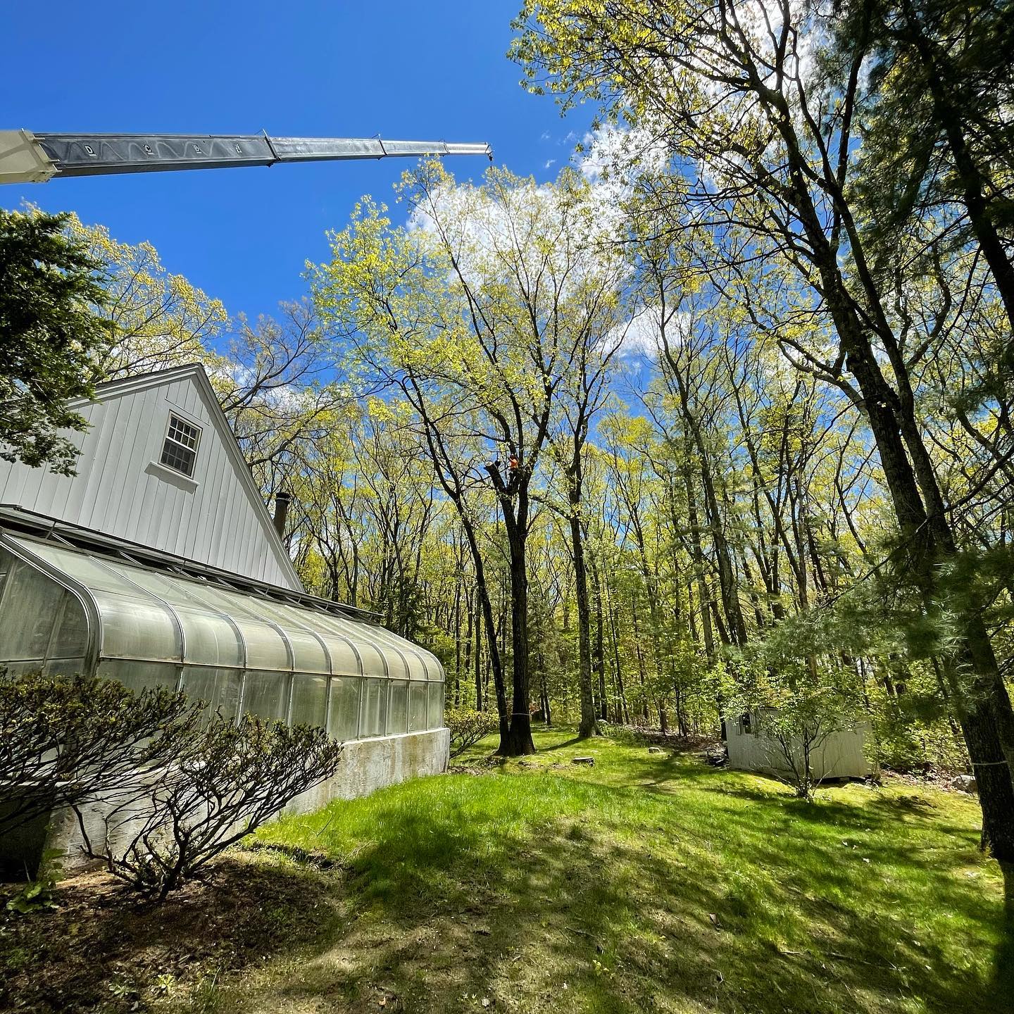 Crane boom extending above a greenhouse and wooded yard