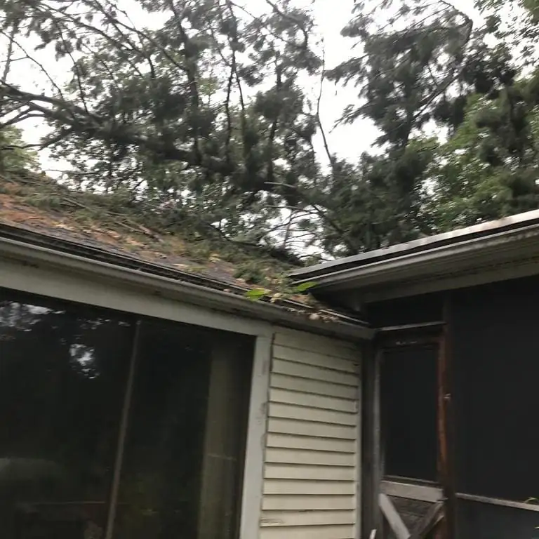Broken limbs resting on a roof edge