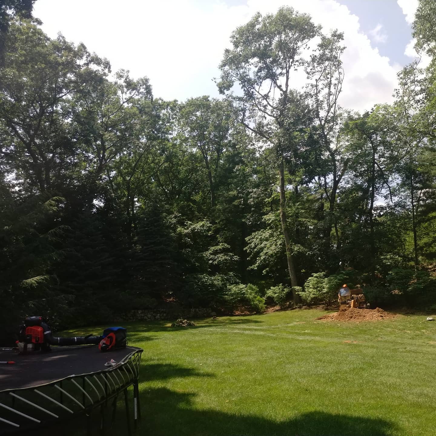 Cut material and equipment across a backyard
