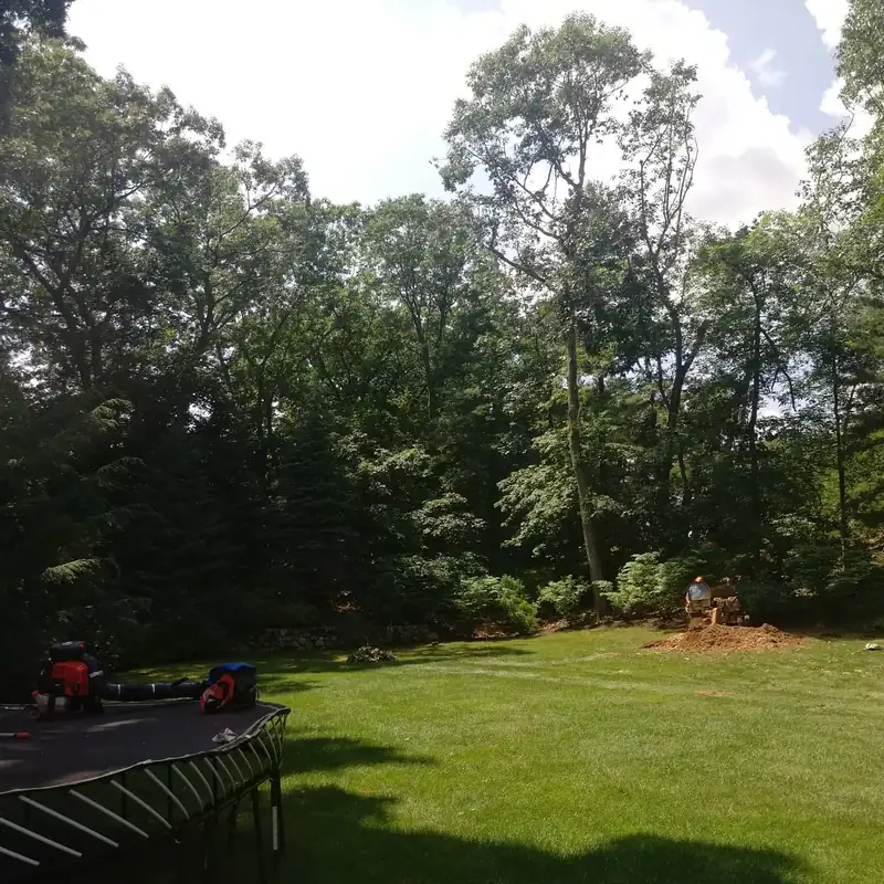 Cut material and equipment across a backyard