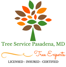 tree service pasadena maryland, tree care experts that are licensed, insured, and certified
